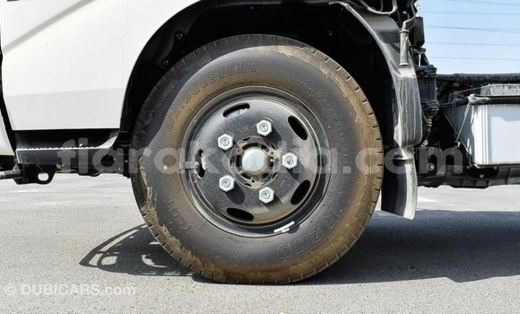 Acheter Import Utilitaire Hino 300 Series Blanc à Import - Dubai, Diana