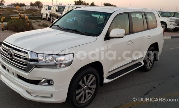 Buy Import Toyota Land Cruiser White Car in Import - Dubai in Diana Buy Import Toyota Land Cruiser White Car in Import - Dubai in Diana