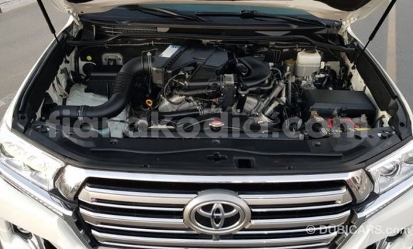 Buy Import Toyota Land Cruiser White Car in Import - Dubai in Diana Buy Import Toyota Land Cruiser White Car in Import - Dubai in Diana
