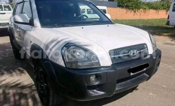 Acheter Occasion Voiture Hyundai Tucson Blanc à Antananarivo, Analamanga Acheter Occasion Voiture Hyundai Tucson Blanc à Antananarivo, Analamanga