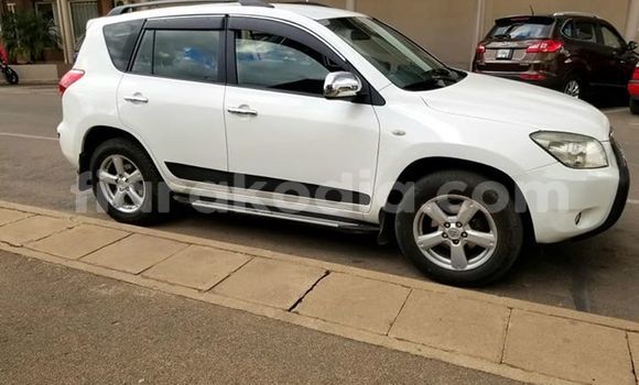 Hividy Toyota RAV4 fotsy Car in Antananarivo in Analamanga Hividy Toyota RAV4 fotsy Car in Antananarivo in Analamanga