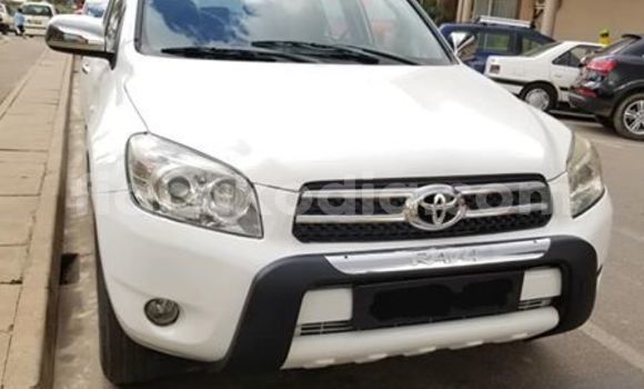 Hividy Toyota RAV4 fotsy Car in Antananarivo in Analamanga Hividy Toyota RAV4 fotsy Car in Antananarivo in Analamanga