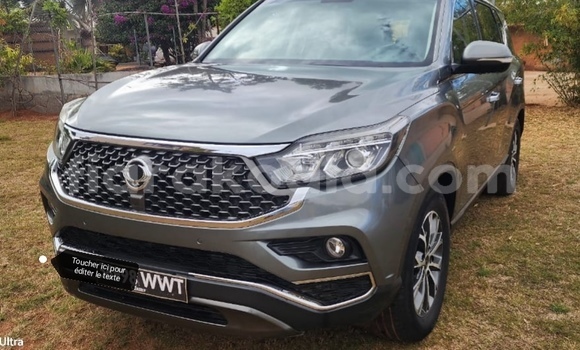 Acheter Occasion Voiture SsangYong Rexton Gris à Antananarivo, Analamanga