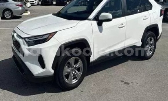 Acheter Occasion Voiture Toyota RAV4 Blanc à Ambatofinandrahana, Amoron'i Mania