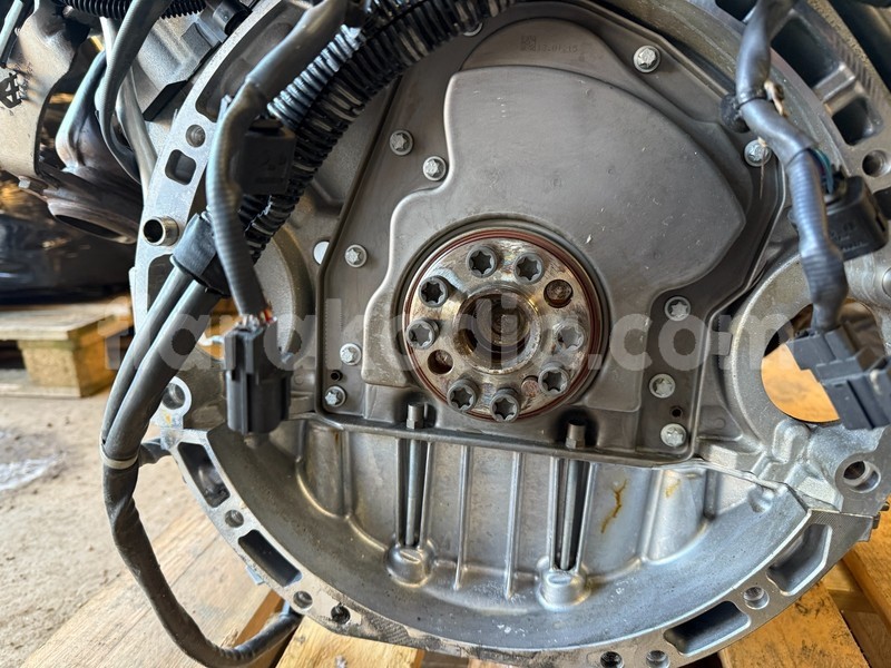 Big with watermark 10