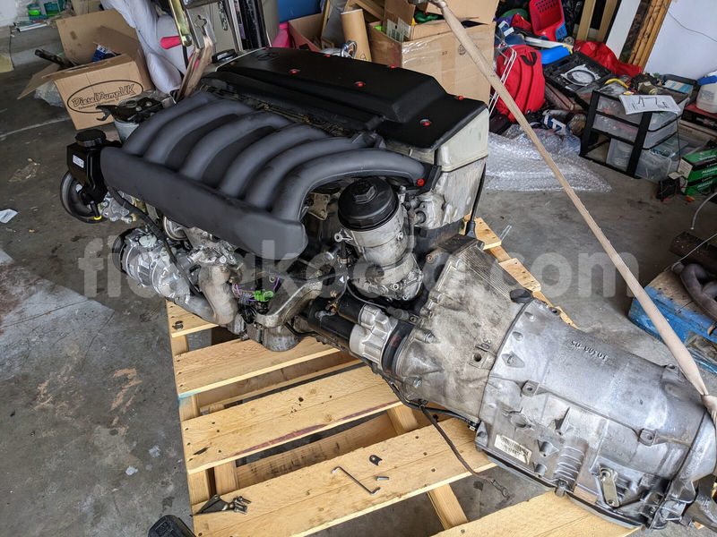 Big with watermark d