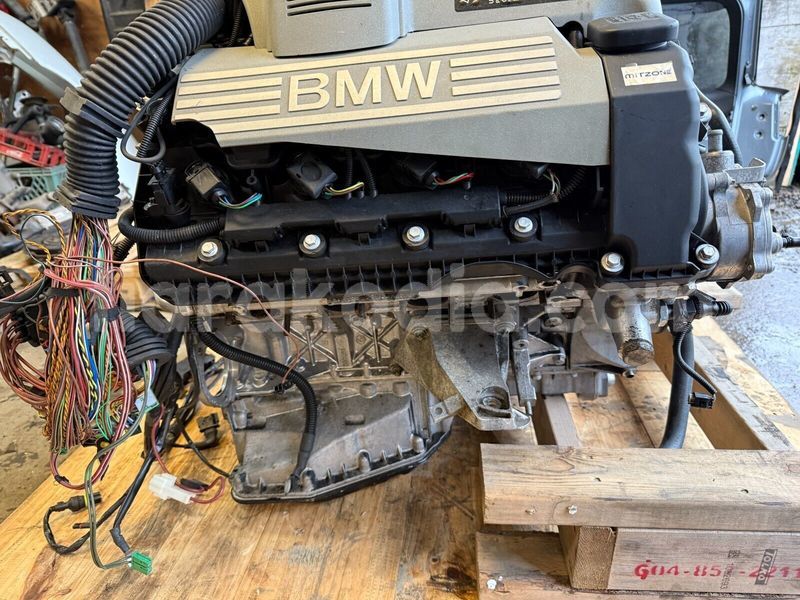 Big with watermark 2