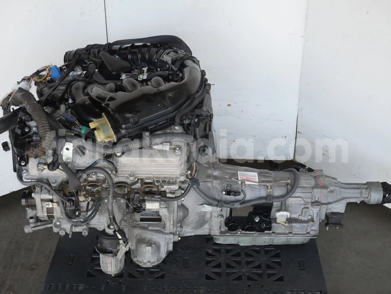 Big with watermark image d