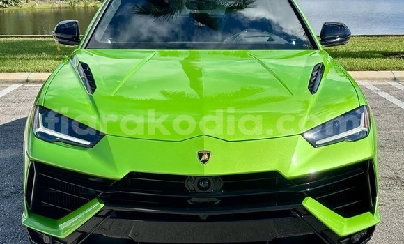 Acheter Occasion Voiture Lamborghini Urus Vert à Ambatoboeny (Ambato Boeny), Boeny