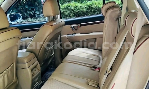 Acheter Occasion Voiture Hyundai Santa Fe Blanc à Ambatomainty , Melaky Acheter Occasion Voiture Hyundai Santa Fe Blanc à Ambatomainty , Melaky