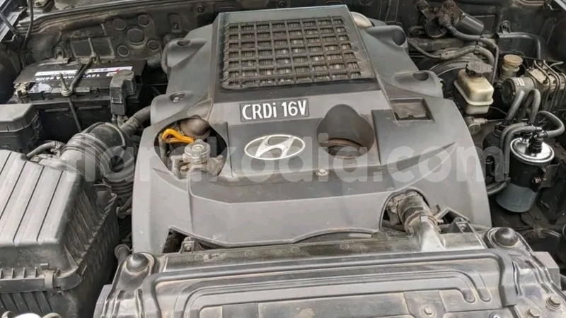 Big with watermark tianma century alaotra mangoro ambatondrazaka 9038