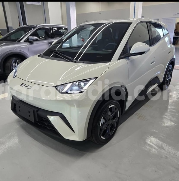 Big with watermark byd seagull analamanga antananarivo 9174