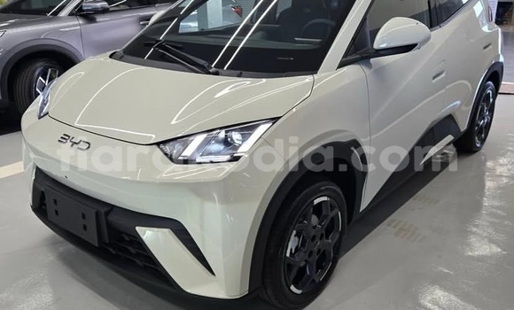 Acheter Occasion Voiture BYD Seagull Blanc à Antananarivo, Analamanga