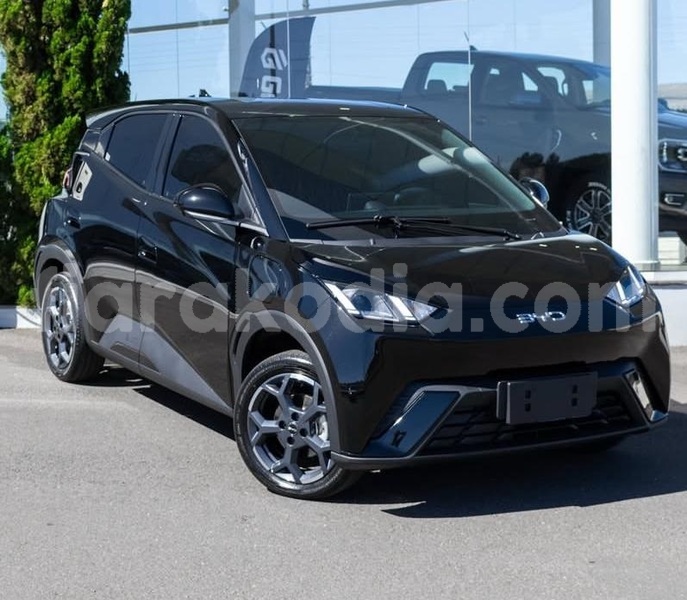 Big with watermark byd seagull analamanga antananarivo 9174