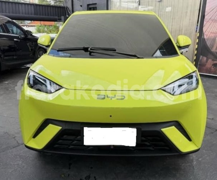 Big with watermark byd seagull analamanga antananarivo 9174