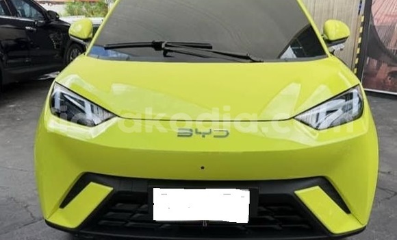 Acheter Occasion Voiture BYD Seagull Blanc à Antananarivo, Analamanga Acheter Occasion Voiture BYD Seagull Blanc à Antananarivo, Analamanga