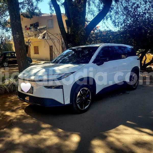 Big with watermark toyota brevis analamanga antananarivo 9262