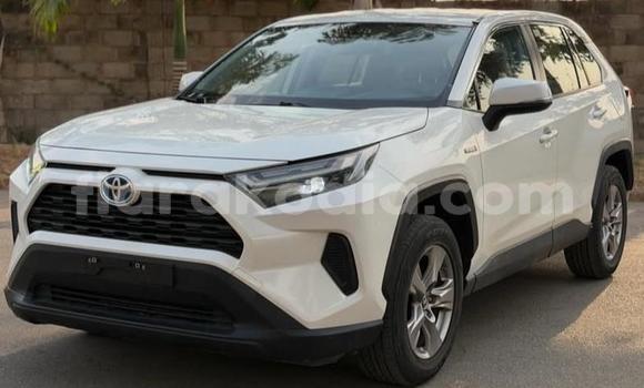 Buy Used Toyota RAV4 White Car in Antananarivo in Analamanga Buy Used Toyota RAV4 White Car in Antananarivo in Analamanga
