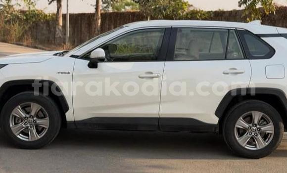 Buy Used Toyota RAV4 White Car in Antananarivo in Analamanga Buy Used Toyota RAV4 White Car in Antananarivo in Analamanga