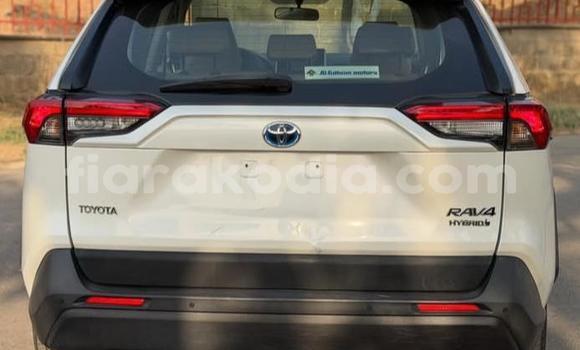 Buy Used Toyota RAV4 White Car in Antananarivo in Analamanga Buy Used Toyota RAV4 White Car in Antananarivo in Analamanga
