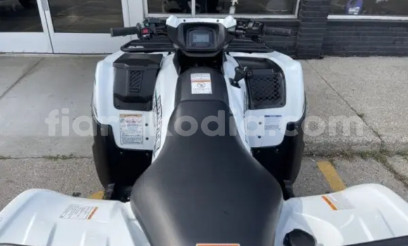 Buy New Kawasaki Brute Force White Bike in Ambato Boina in Mahajanga Buy New Kawasaki Brute Force White Bike in Ambato Boina in Mahajanga