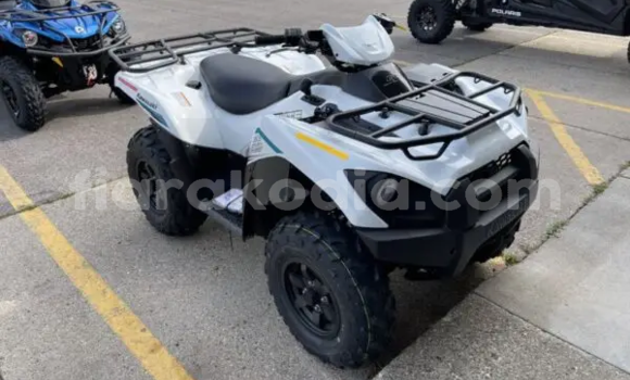 Buy New Kawasaki Brute Force White Bike in Ambato Boina in Mahajanga Buy New Kawasaki Brute Force White Bike in Ambato Boina in Mahajanga