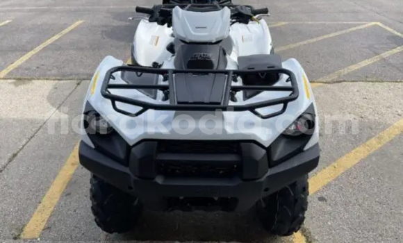 Buy New Kawasaki Brute Force White Bike in Ambato Boina in Mahajanga Buy New Kawasaki Brute Force White Bike in Ambato Boina in Mahajanga
