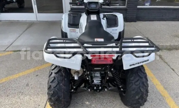 Buy New Kawasaki Brute Force White Bike in Ambato Boina in Mahajanga Buy New Kawasaki Brute Force White Bike in Ambato Boina in Mahajanga