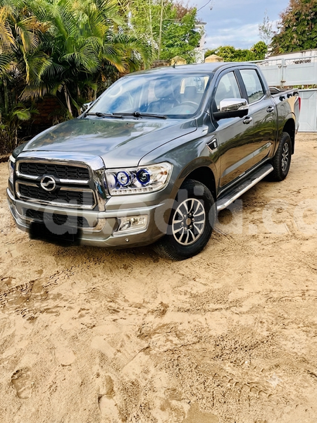 Big with watermark zx grand tiger sava sambava 9311