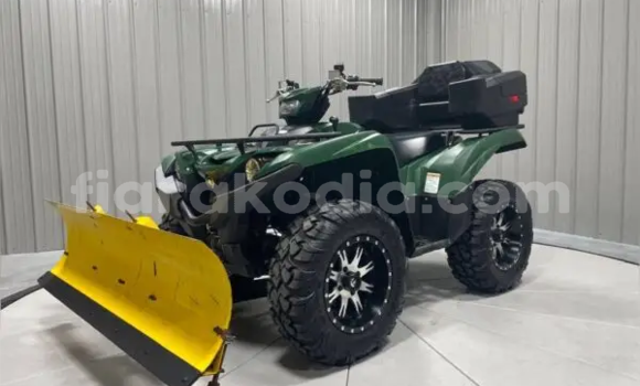 Acheter Neuf Moto Yamaha Grizzly Vert à Ambatondrazaka, Alaotra-Mangoro Acheter Neuf Moto Yamaha Grizzly Vert à Ambatondrazaka, Alaotra-Mangoro
