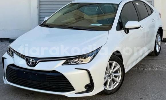 Acheter Occasion Voiture Toyota Corolla Blanc à Antananarivo, Analamanga