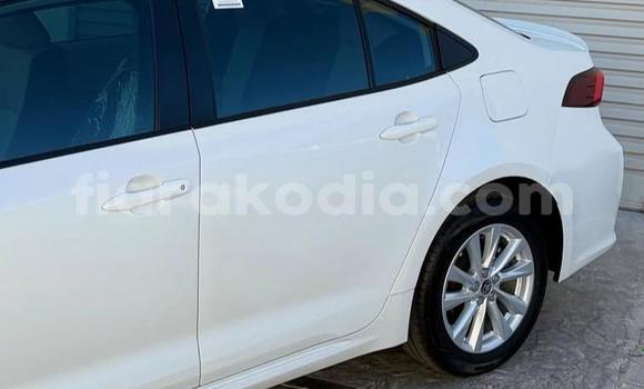 Buy Used Toyota Corolla White Car in Antananarivo in Analamanga Buy Used Toyota Corolla White Car in Antananarivo in Analamanga