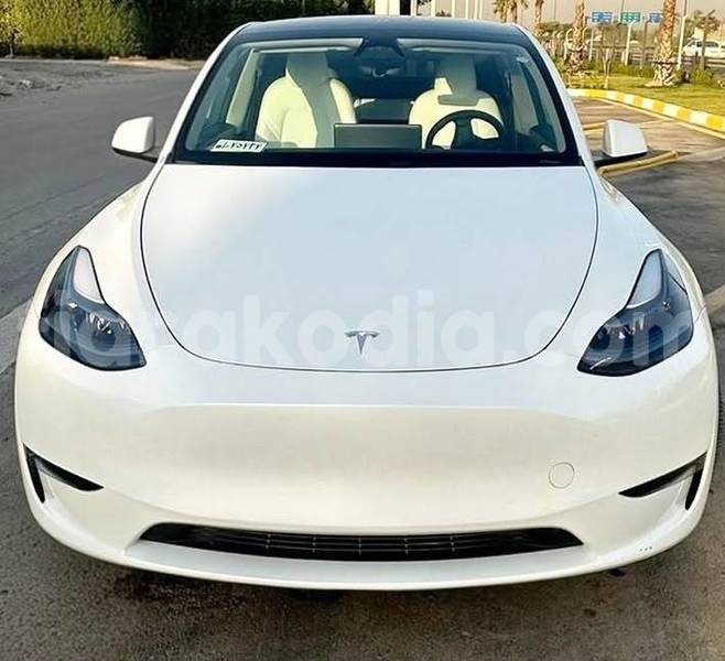 Big with watermark tesla model x analamanga antananarivo 9343