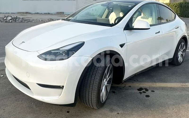 Big with watermark tesla model x analamanga antananarivo 9343