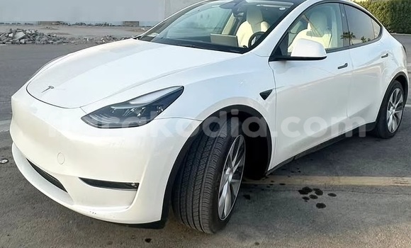Buy Used Tesla Model X White Car in Antananarivo in Analamanga Buy Used Tesla Model X White Car in Antananarivo in Analamanga