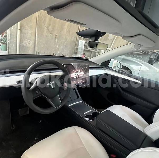 Big with watermark tesla model x analamanga antananarivo 9343