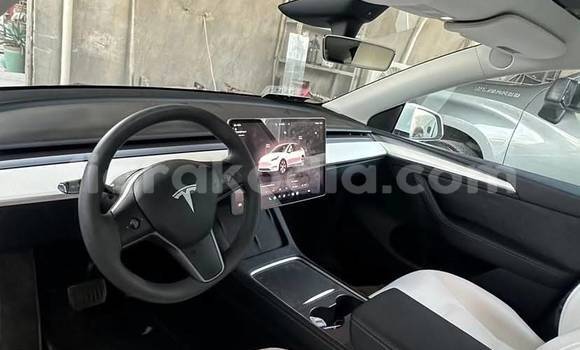 Buy Used Tesla Model X White Car in Antananarivo in Analamanga Buy Used Tesla Model X White Car in Antananarivo in Analamanga