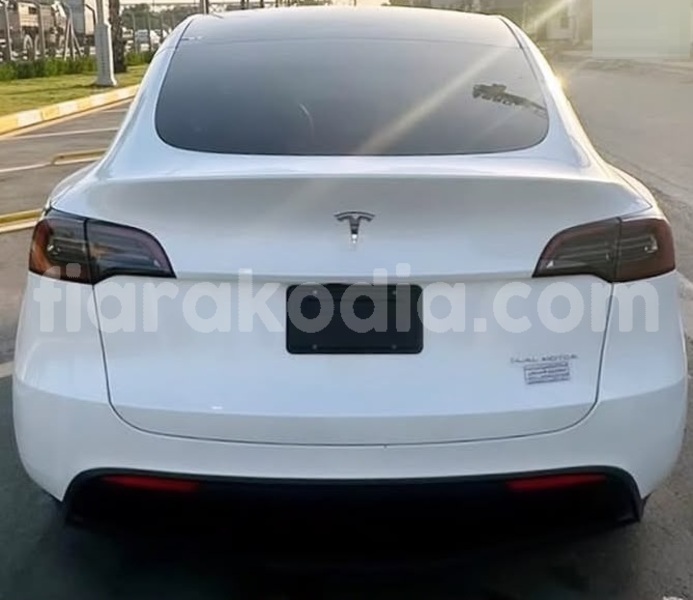 Big with watermark tesla model x analamanga antananarivo 9343