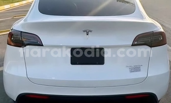 Buy Used Tesla Model X White Car in Antananarivo in Analamanga Buy Used Tesla Model X White Car in Antananarivo in Analamanga