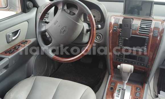 Acheter Occasion Voiture Hyundai Terracan Gris à Antananarivo, Analamanga Acheter Occasion Voiture Hyundai Terracan Gris à Antananarivo, Analamanga