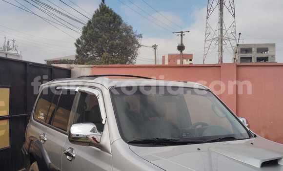 Acheter Occasion Voiture Hyundai Terracan Gris à Antananarivo, Analamanga
