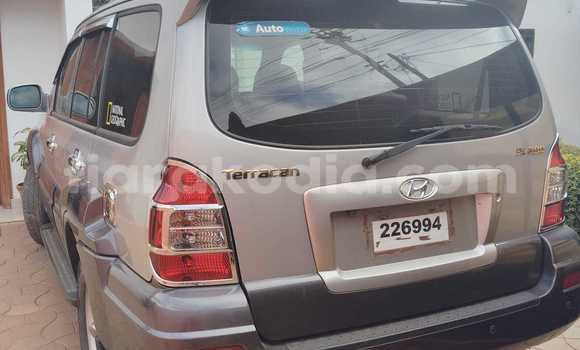 Acheter Occasion Voiture Hyundai Terracan Gris à Antananarivo, Analamanga Acheter Occasion Voiture Hyundai Terracan Gris à Antananarivo, Analamanga
