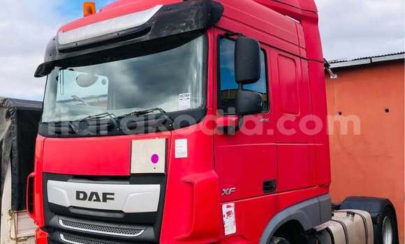 Acheter Occasion Utilitaire DAF CF Rouge à Ambositra, Amoron'i Mania
