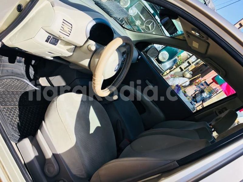 Big with watermark 45743082 1162983703859391 6444356814262763520 n