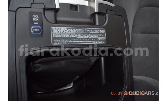 Acheter Import Voiture Toyota Land Cruiser Autre à Import - Dubai, Diana Acheter Import Voiture Toyota Land Cruiser Autre à Import - Dubai, Diana