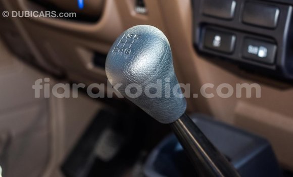 Hividy Toyota Land Cruiser beige Car in Import - Dubai in Diana Hividy Toyota Land Cruiser beige Car in Import - Dubai in Diana