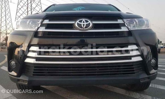 Hividy Toyota Highlander Black Car in Import - Dubai in Diana Hividy Toyota Highlander Black Car in Import - Dubai in Diana