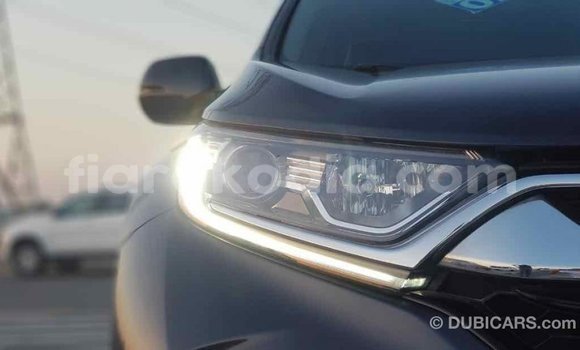 Hividy Honda C Hafa Bike in Import - Dubai in Diana Hividy Honda C Hafa Bike in Import - Dubai in Diana