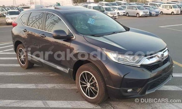 Hividy Honda C Hafa Bike in Import - Dubai in Diana Hividy Honda C Hafa Bike in Import - Dubai in Diana