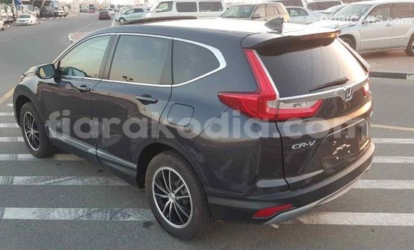 Hividy Honda C Hafa Bike in Import - Dubai in Diana Hividy Honda C Hafa Bike in Import - Dubai in Diana